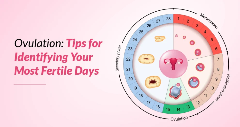 Is Your Body Ready for Motherhood – 5 Key Signs Seen in Highly Fertile Women