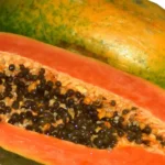 Border 2 Box Office Collection: Sunny Deol’s Film Breaks Records in First Two Days