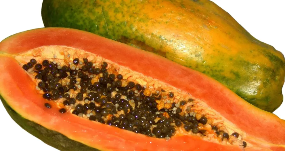 Papaya Benefits Explained How This Superfruit Improves Digestion, Immunity, Skin, and Heart Health