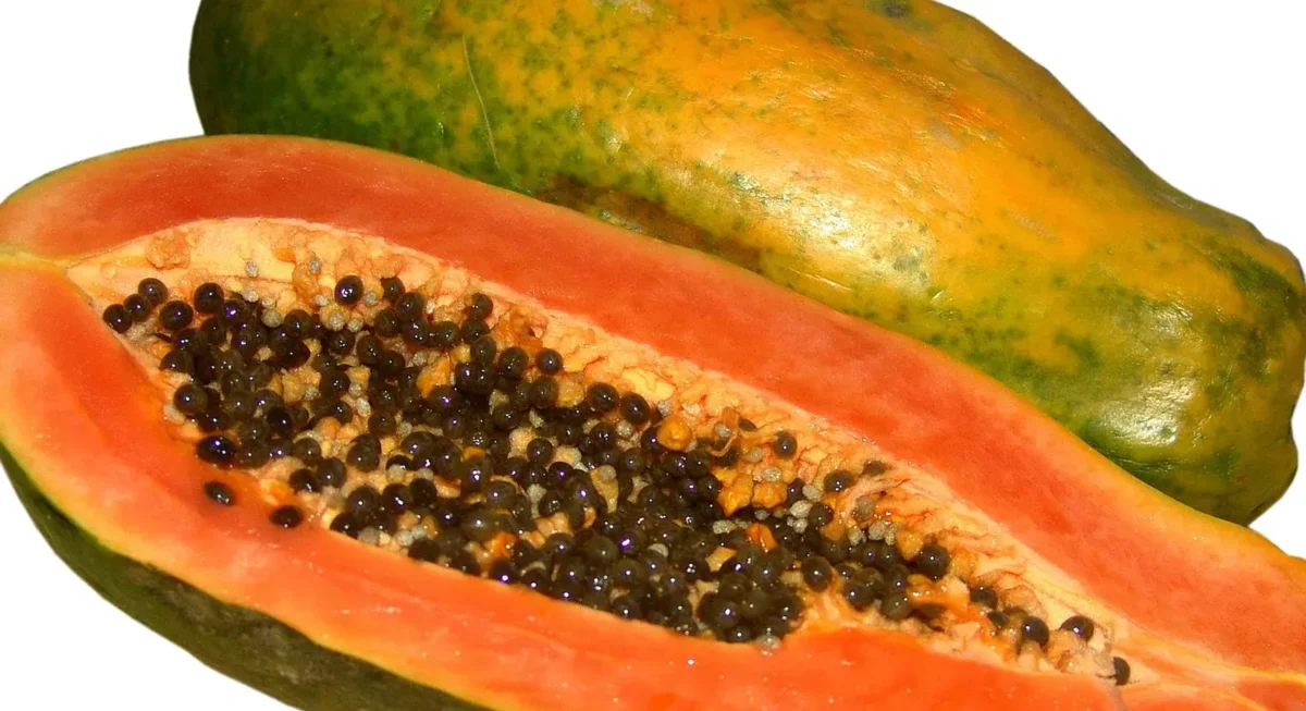 Papaya Benefits Explained How This Superfruit Improves Digestion, Immunity, Skin, and Heart Health