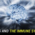 Cheapest and Safest Way to Travel from Delhi to Kashmir