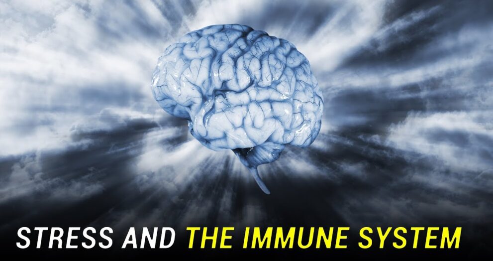 Stress Not Only Damages the Brain but Also Weakens the Immune System — Know How and Ways to Prevent It