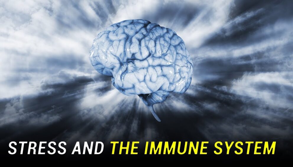 Stress Not Only Damages the Brain but Also Weakens the Immune System — Know How and Ways to Prevent It