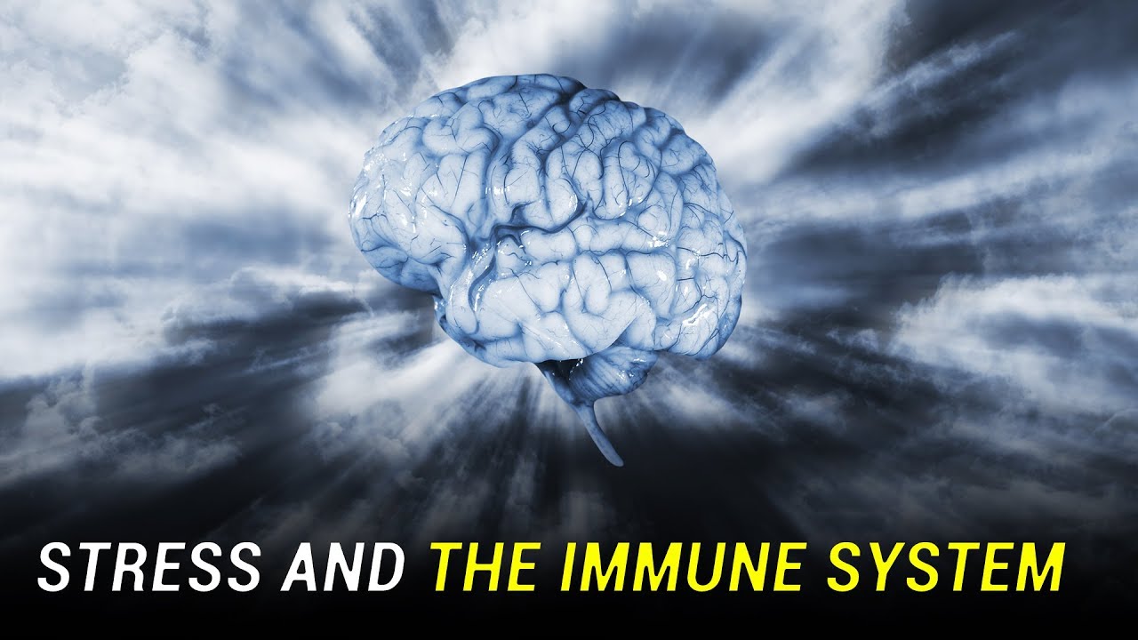 Stress Not Only Damages the Brain but Also Weakens the Immune System — Know How and Ways to Prevent It