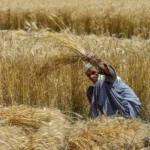 Mega IPOs Expected in 2026: Reliance Jio, Flipkart and Other Major Companies Preparing for Listing