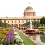 Age Doesn’t Matter: MS Dhoni’s Strong Statement on Rohit Sharma and Virat Kohli Playing the 2027 World Cup