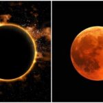 Holi 2026: Remove These 5 Things from Your Home as per Vastu for Happiness and Prosperity